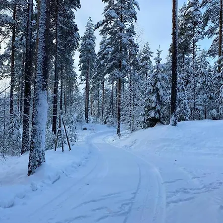 Вилла Unique Winter In Pine Forest