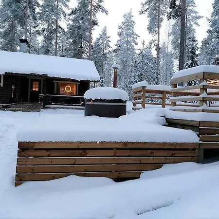 Unique Winter In Pine Forest * Форсса